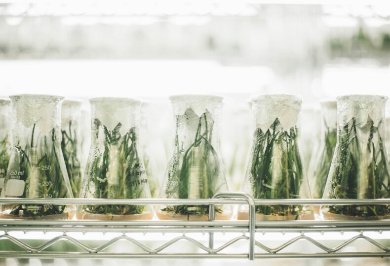 植物工場の事例｜成功企業の取り組みから学ぶビジネスモデルと将来性