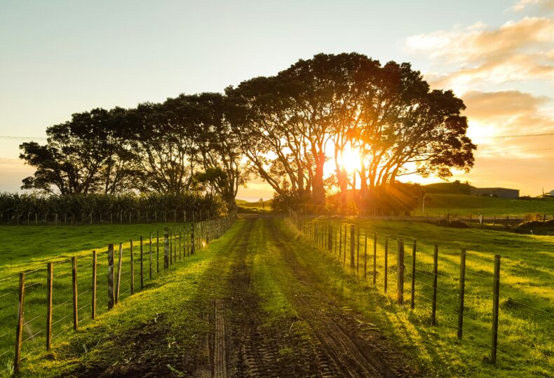 地方創生の成功例とは｜地域活性化を実現した20の事例と成功の秘訣